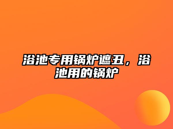 浴池專用鍋爐遮丑，浴池用的鍋爐