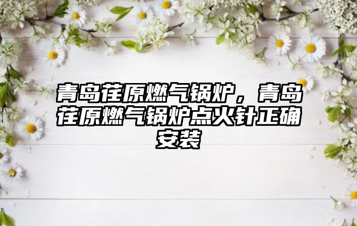 青島荏原燃?xì)忮仩t，青島荏原燃?xì)忮仩t點火針正確安裝