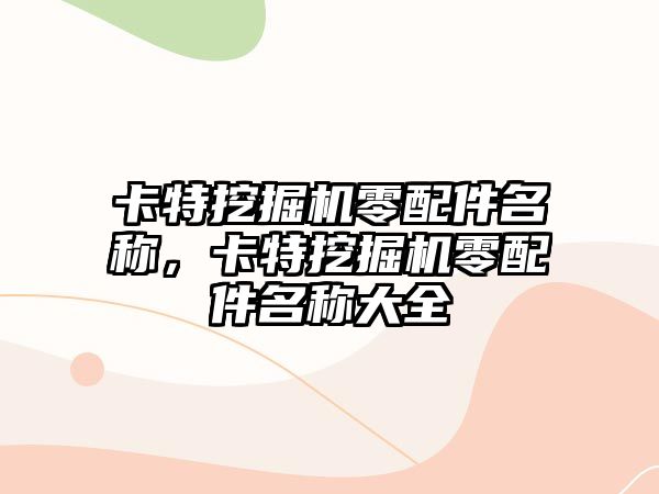 卡特挖掘機零配件名稱，卡特挖掘機零配件名稱大全