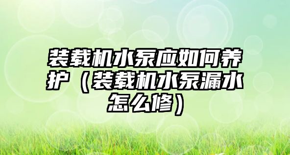 裝載機水泵應(yīng)如何養(yǎng)護(hù)（裝載機水泵漏水怎么修）