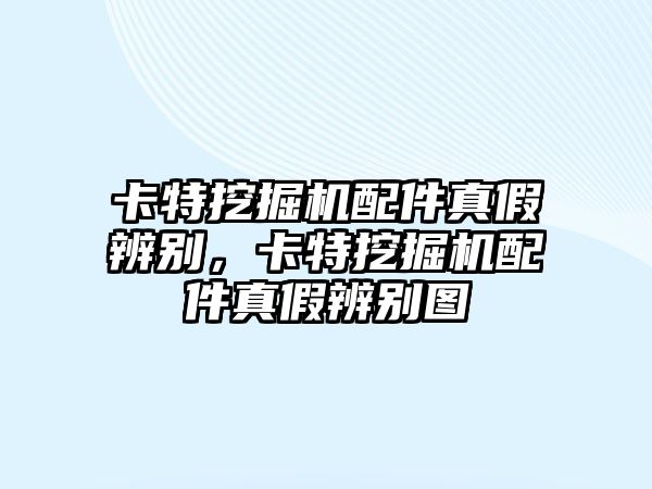 卡特挖掘機(jī)配件真假辨別，卡特挖掘機(jī)配件真假辨別圖