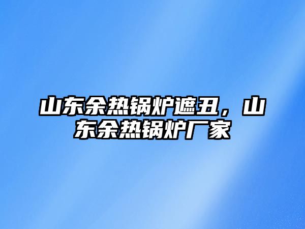 山東余熱鍋爐遮丑，山東余熱鍋爐廠家