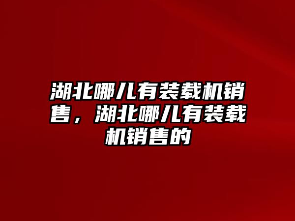 湖北哪兒有裝載機(jī)銷售，湖北哪兒有裝載機(jī)銷售的