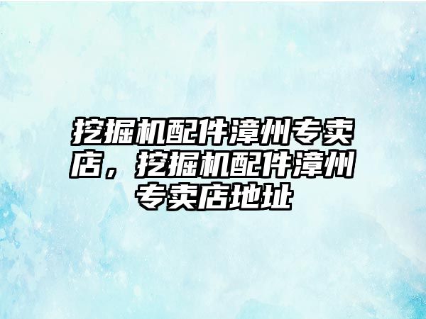 挖掘機配件漳州專賣店，挖掘機配件漳州專賣店地址