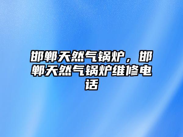 邯鄲天然氣鍋爐，邯鄲天然氣鍋爐維修電話