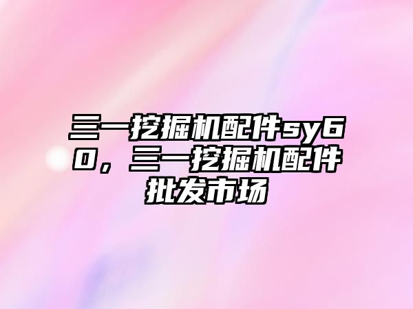 三一挖掘機(jī)配件sy60，三一挖掘機(jī)配件批發(fā)市場(chǎng)