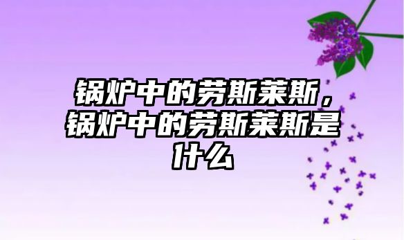 鍋爐中的勞斯萊斯，鍋爐中的勞斯萊斯是什么