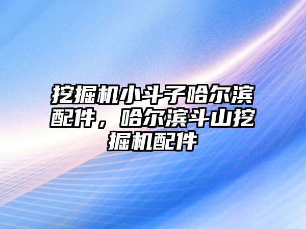 挖掘機小斗子哈爾濱配件，哈爾濱斗山挖掘機配件