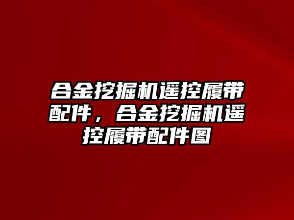 合金挖掘機遙控履帶配件，合金挖掘機遙控履帶配件圖