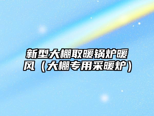 新型大棚取暖鍋爐暖風(fēng)（大棚專用采暖爐）