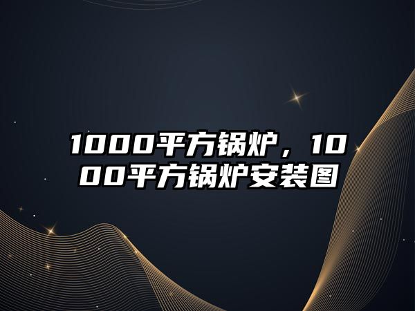 1000平方鍋爐，1000平方鍋爐安裝圖