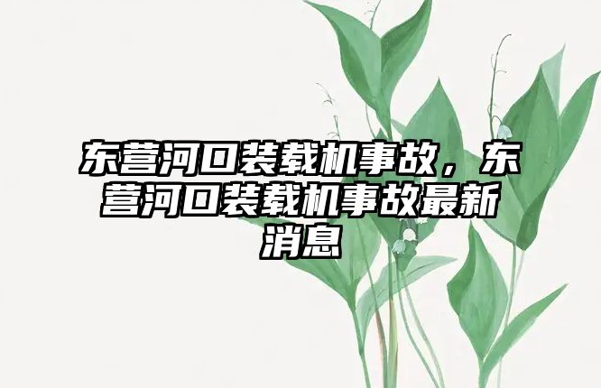 東營河口裝載機事故，東營河口裝載機事故最新消息