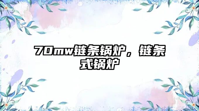 70mw鏈條鍋爐，鏈條式鍋爐