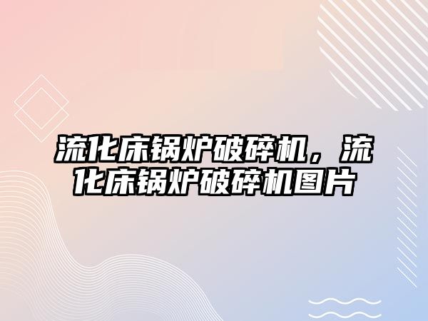 流化床鍋爐破碎機，流化床鍋爐破碎機圖片