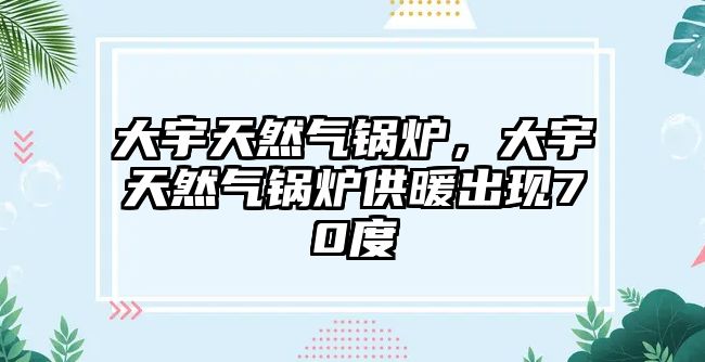 大宇天然氣鍋爐，大宇天然氣鍋爐供暖出現(xiàn)70度