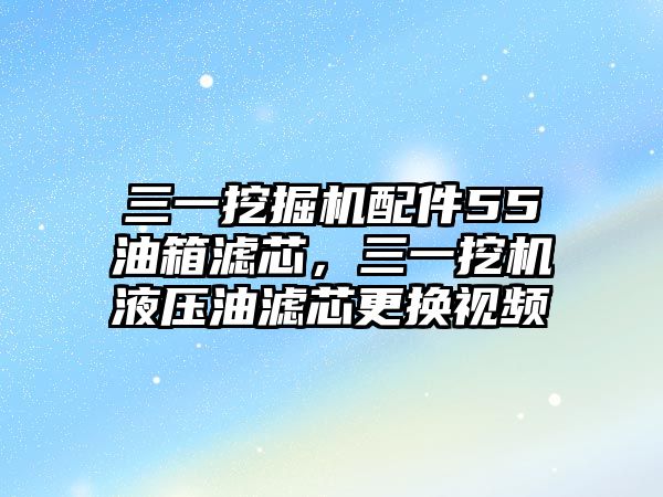 三一挖掘機配件55油箱濾芯，三一挖機液壓油濾芯更換視頻