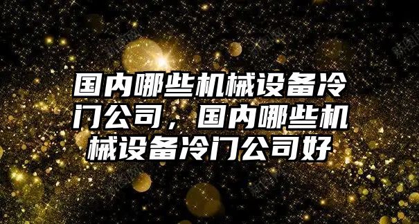 國內(nèi)哪些機械設(shè)備冷門公司，國內(nèi)哪些機械設(shè)備冷門公司好