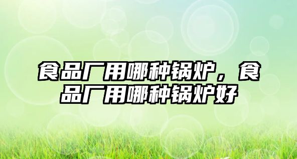 食品廠用哪種鍋爐，食品廠用哪種鍋爐好