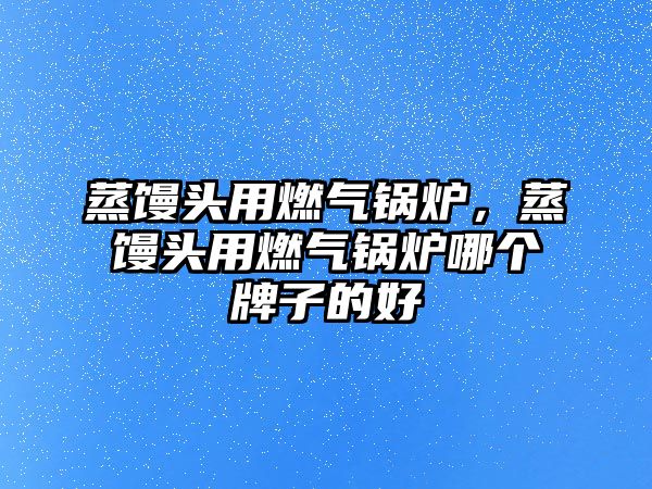 蒸饅頭用燃氣鍋爐，蒸饅頭用燃氣鍋爐哪個牌子的好