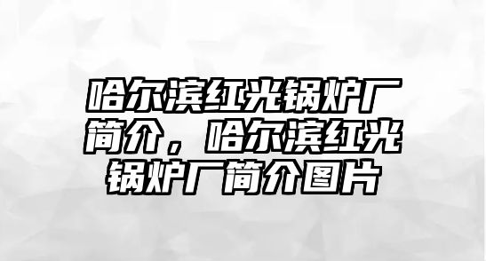 哈爾濱紅光鍋爐廠簡(jiǎn)介，哈爾濱紅光鍋爐廠簡(jiǎn)介圖片