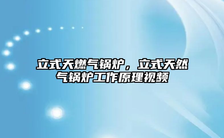 立式天燃?xì)忮仩t，立式天然氣鍋爐工作原理視頻