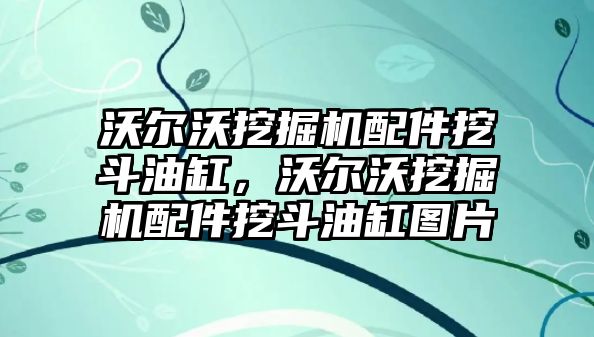 沃爾沃挖掘機配件挖斗油缸，沃爾沃挖掘機配件挖斗油缸圖片