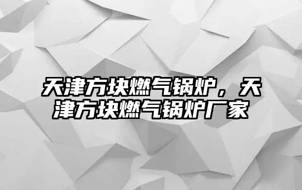 天津方塊燃?xì)忮仩t，天津方塊燃?xì)忮仩t廠家