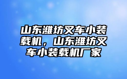 山東濰坊叉車小裝載機，山東濰坊叉車小裝載機廠家