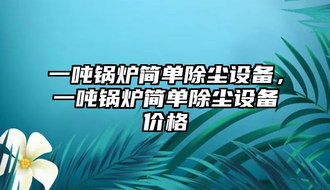 一噸鍋爐簡單除塵設(shè)備，一噸鍋爐簡單除塵設(shè)備價(jià)格