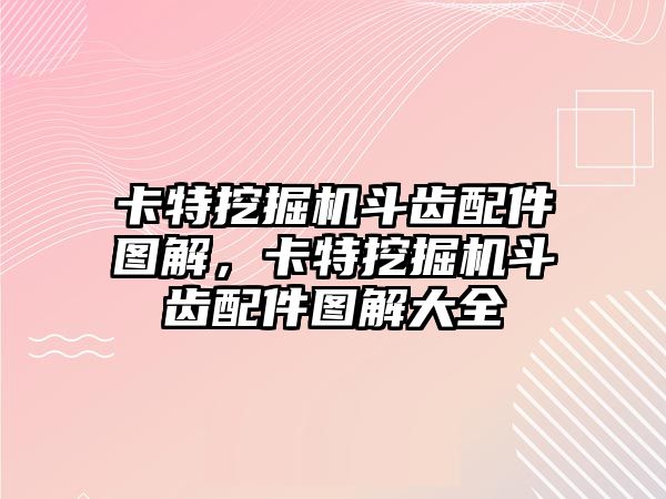 卡特挖掘機(jī)斗齒配件圖解，卡特挖掘機(jī)斗齒配件圖解大全