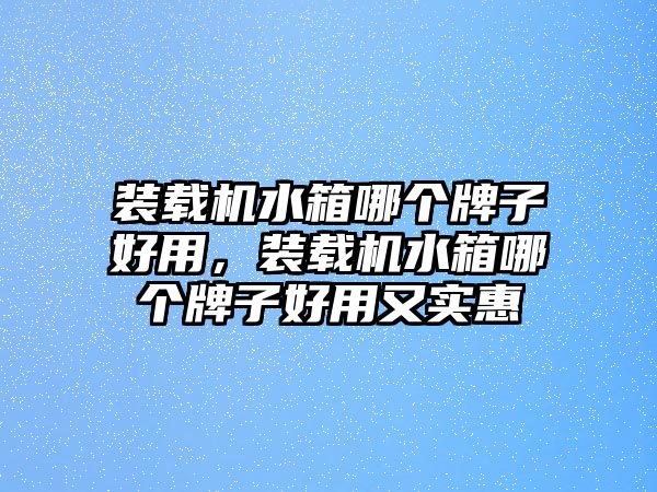 裝載機水箱哪個牌子好用，裝載機水箱哪個牌子好用又實惠