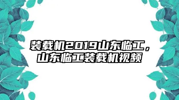 裝載機2019山東臨工，山東臨工裝載機視頻