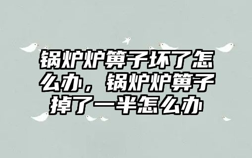 鍋爐爐箅子壞了怎么辦，鍋爐爐箅子掉了一半怎么辦