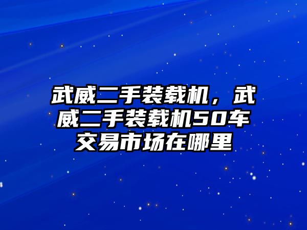 武威二手裝載機(jī)，武威二手裝載機(jī)50車交易市場(chǎng)在哪里