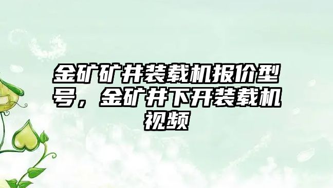 金礦礦井裝載機報價型號，金礦井下開裝載機視頻