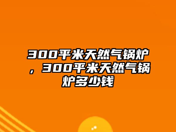 300平米天然氣鍋爐，300平米天然氣鍋爐多少錢