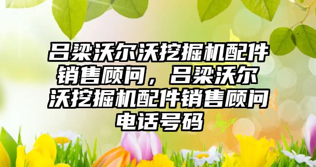 呂梁沃爾沃挖掘機配件銷售顧問，呂梁沃爾沃挖掘機配件銷售顧問電話號碼