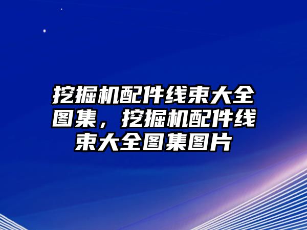 挖掘機配件線束大全圖集，挖掘機配件線束大全圖集圖片