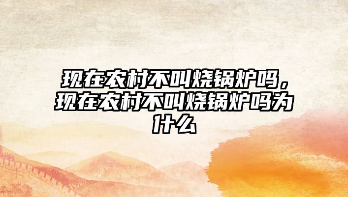 現(xiàn)在農(nóng)村不叫燒鍋爐嗎，現(xiàn)在農(nóng)村不叫燒鍋爐嗎為什么