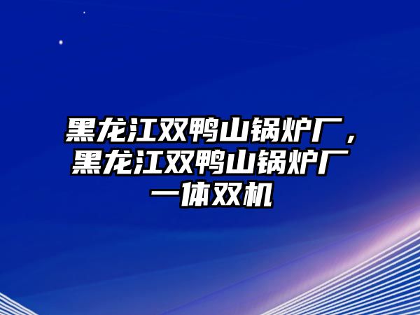 黑龍江雙鴨山鍋爐廠，黑龍江雙鴨山鍋爐廠一體雙機