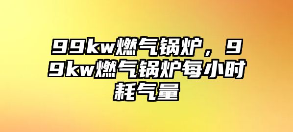 99kw燃?xì)忮仩t，99kw燃?xì)忮仩t每小時(shí)耗氣量