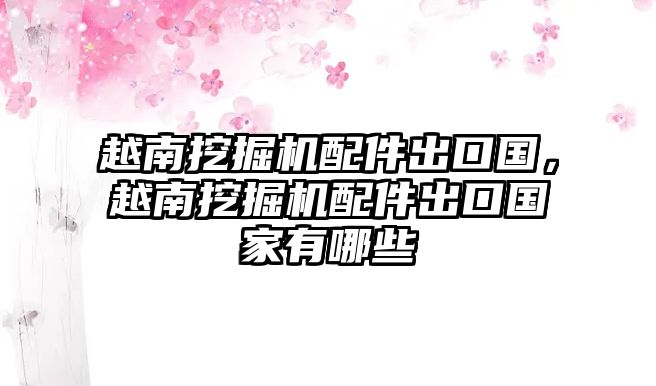 越南挖掘機(jī)配件出口國，越南挖掘機(jī)配件出口國家有哪些