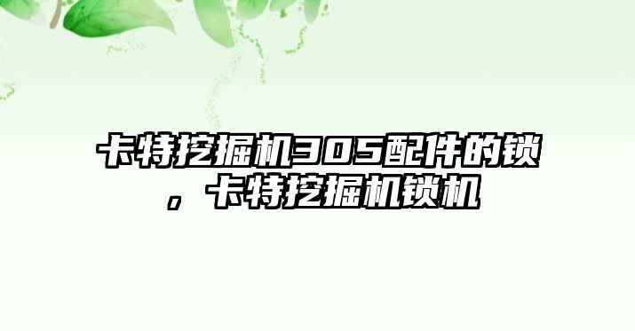 卡特挖掘機305配件的鎖，卡特挖掘機鎖機