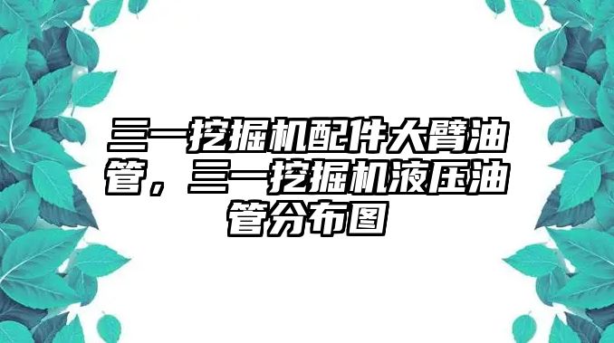 三一挖掘機(jī)配件大臂油管，三一挖掘機(jī)液壓油管分布圖