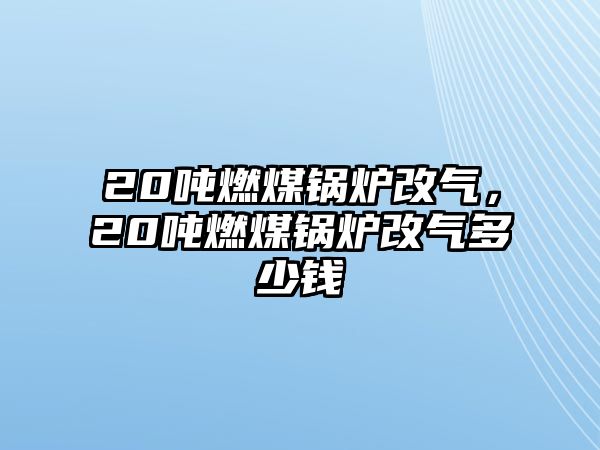 20噸燃煤鍋爐改氣，20噸燃煤鍋爐改氣多少錢