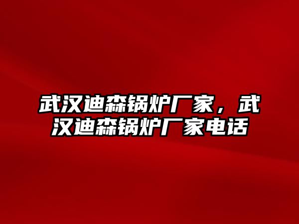 武漢迪森鍋爐廠家，武漢迪森鍋爐廠家電話