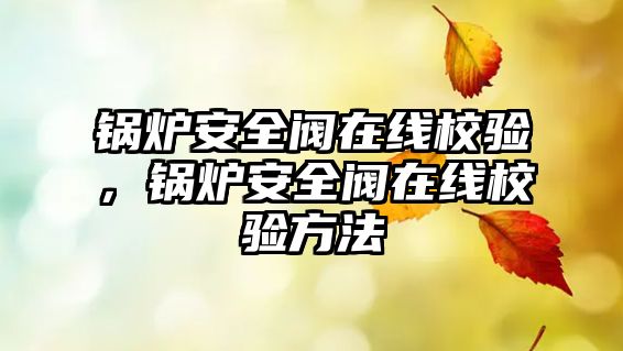 鍋爐安全閥在線校驗(yàn)，鍋爐安全閥在線校驗(yàn)方法