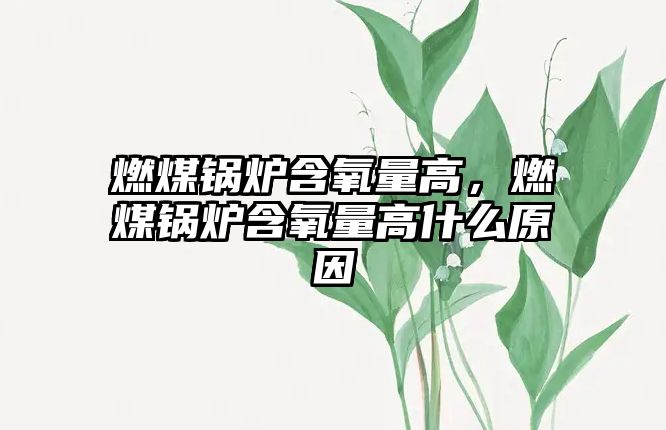 燃煤鍋爐含氧量高，燃煤鍋爐含氧量高什么原因