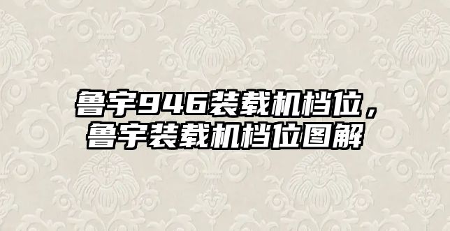 魯宇946裝載機(jī)檔位，魯宇裝載機(jī)檔位圖解