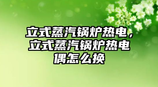 立式蒸汽鍋爐熱電，立式蒸汽鍋爐熱電偶怎么換